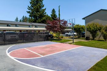 Basketball court